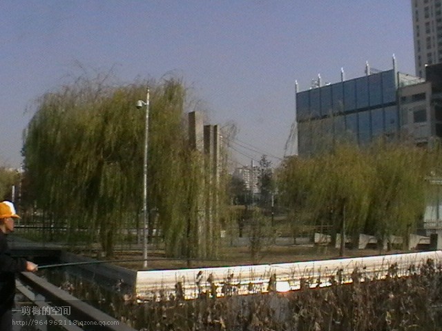 710.jpg