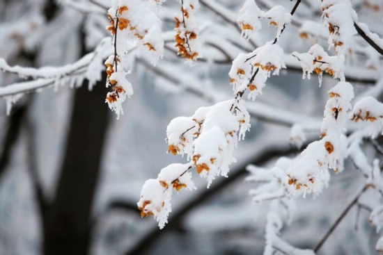 20080119_e6bd9e32ce9ecdff164cmcxeiebjd4ge.jpg