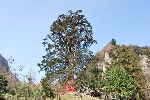 dsc_0102.jpg