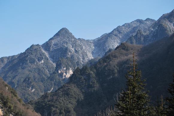 dsc_0100.jpg