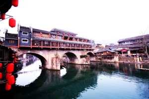 img_8246_conew1.jpg