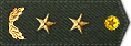 17�н�.gif