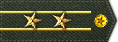 13��У.gif