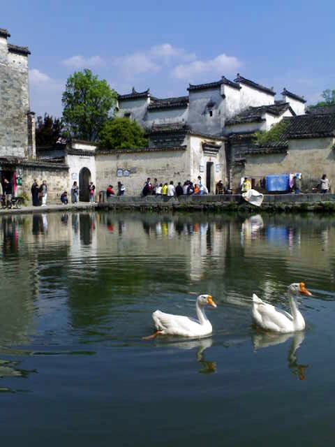 200704033346.jpg