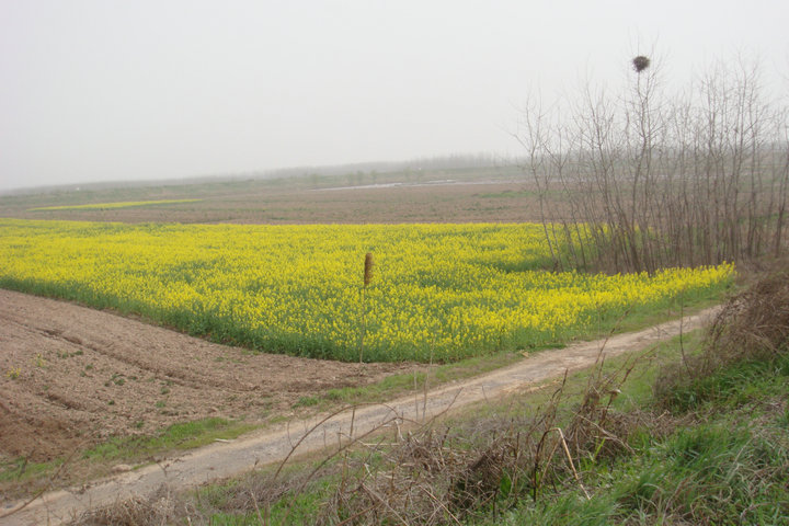 dsc01588.jpg