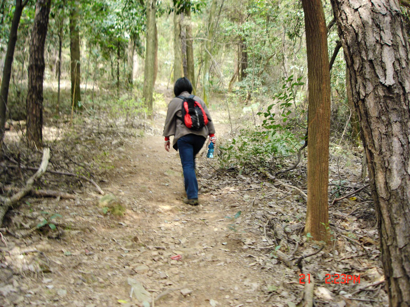 dsc00942x.jpg