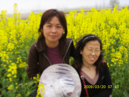 s73f1425.jpg