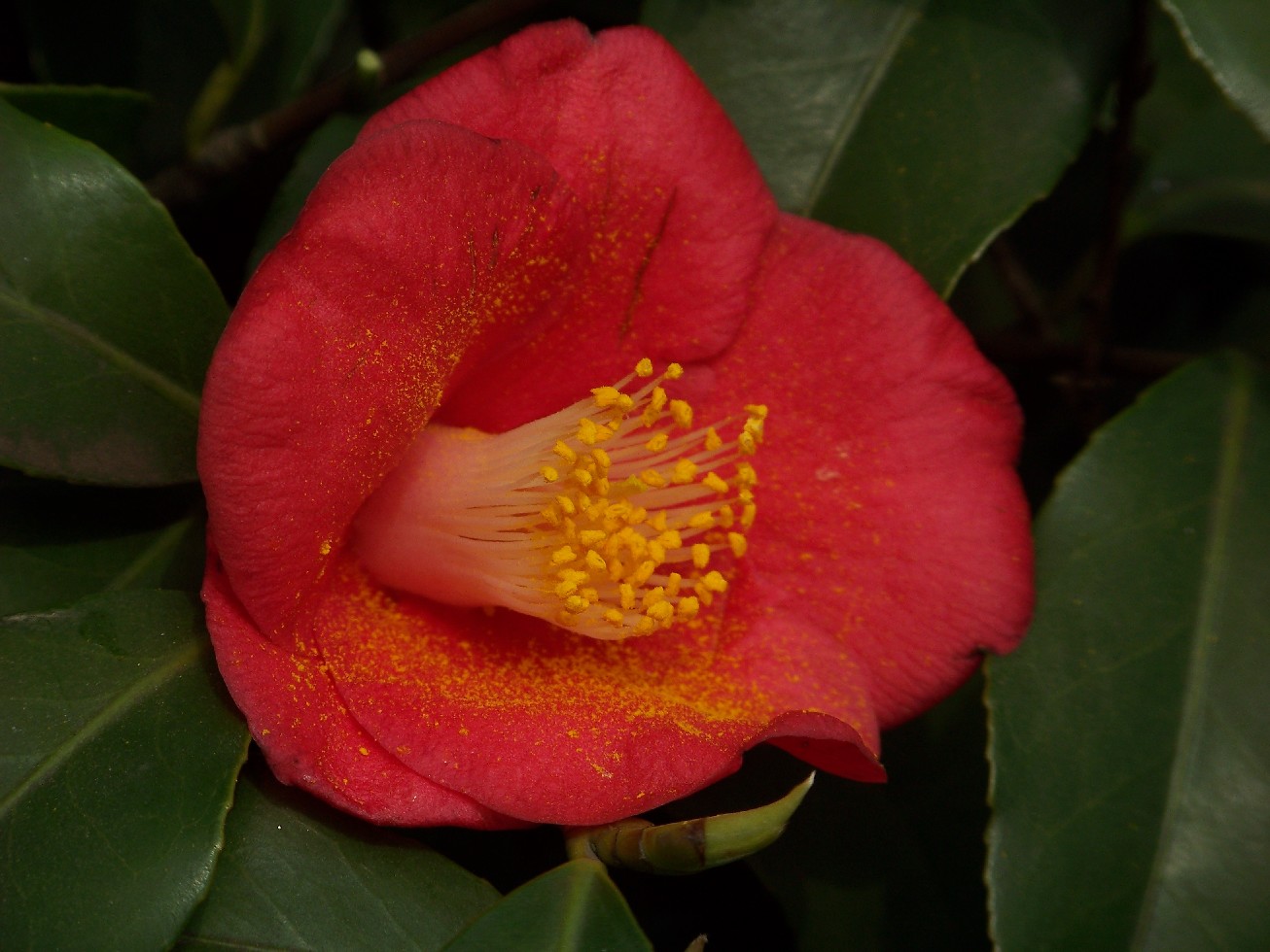 20100320cӣ԰ (33)軨.jpg