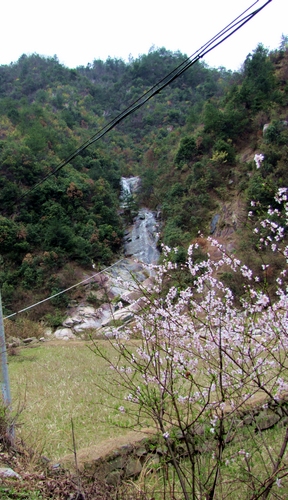 img_0018_Ӱ_1.jpg
