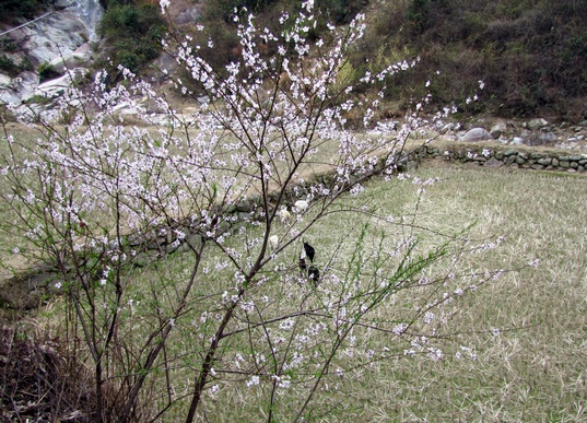 img_0017_Ӱ_1.jpg