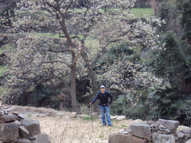 dsc02105.jpg
