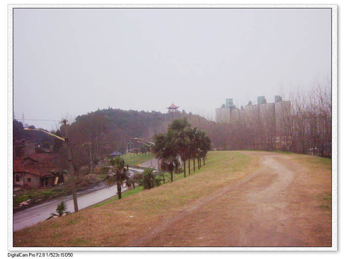 dsci0063.jpg