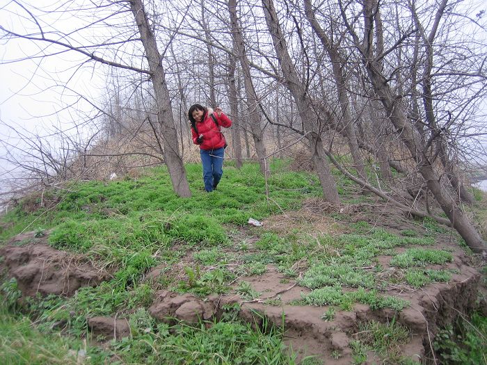 20100308β 028.jpg