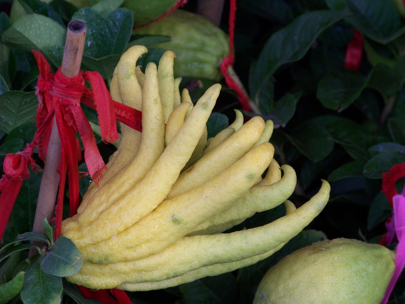 20090926人˸ۻг (1)ǧ.jpg