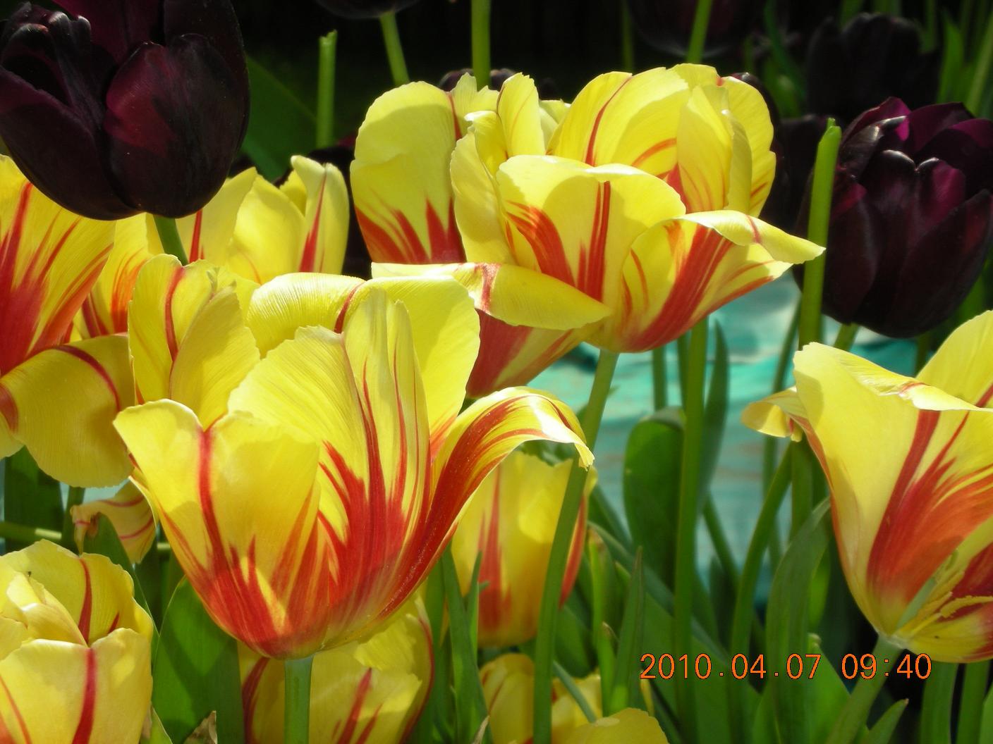��Ƭ 049.jpg
