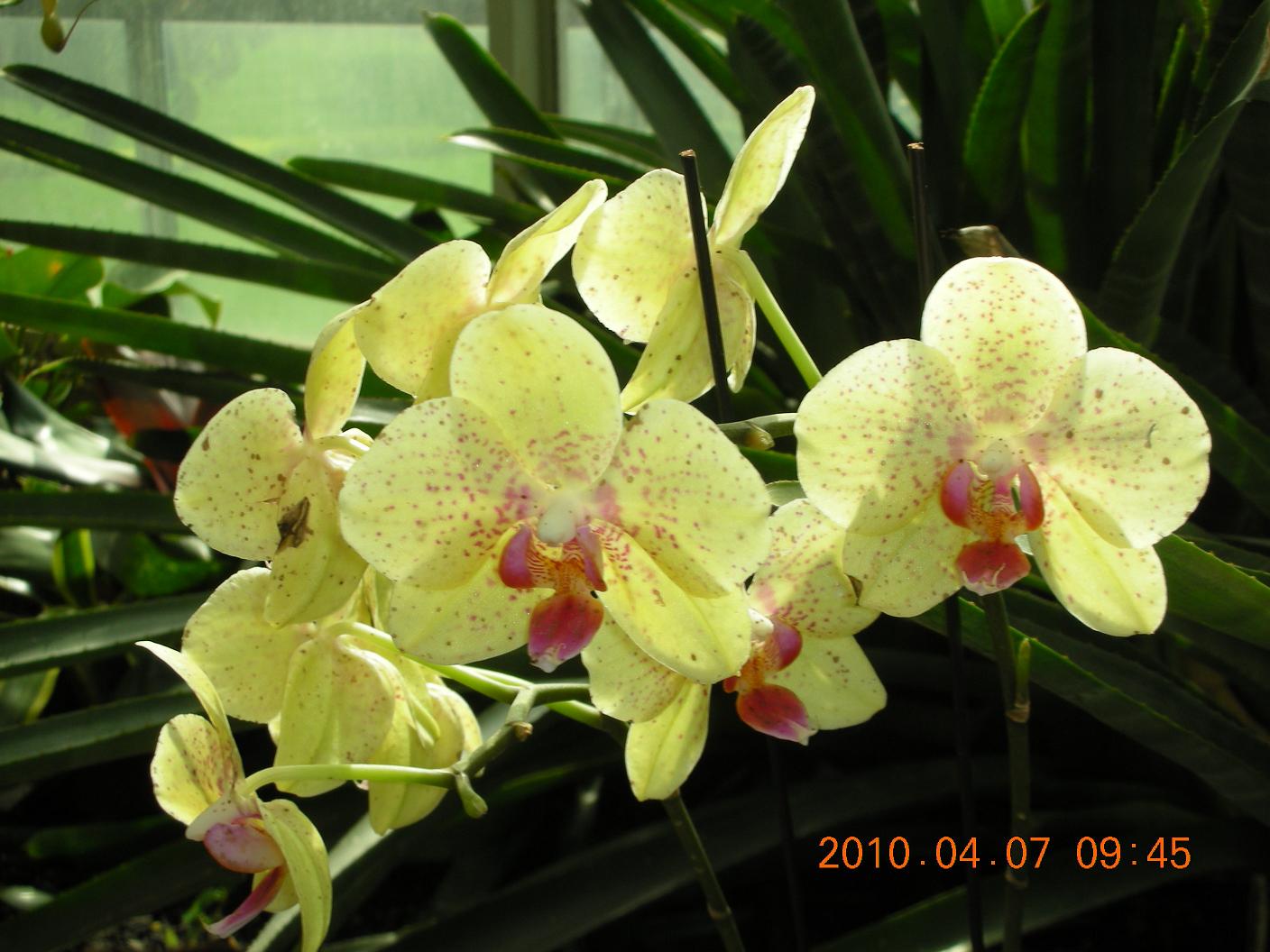 ��Ƭ 053.jpg