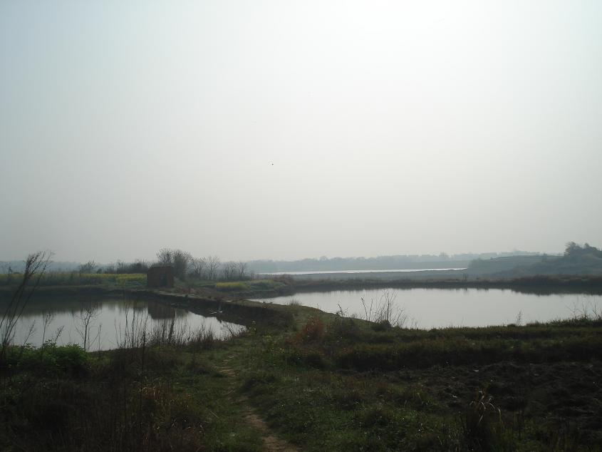 18202145.jpg