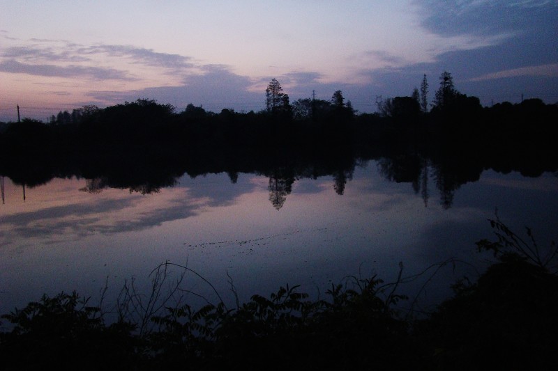 dsc06642.jpg