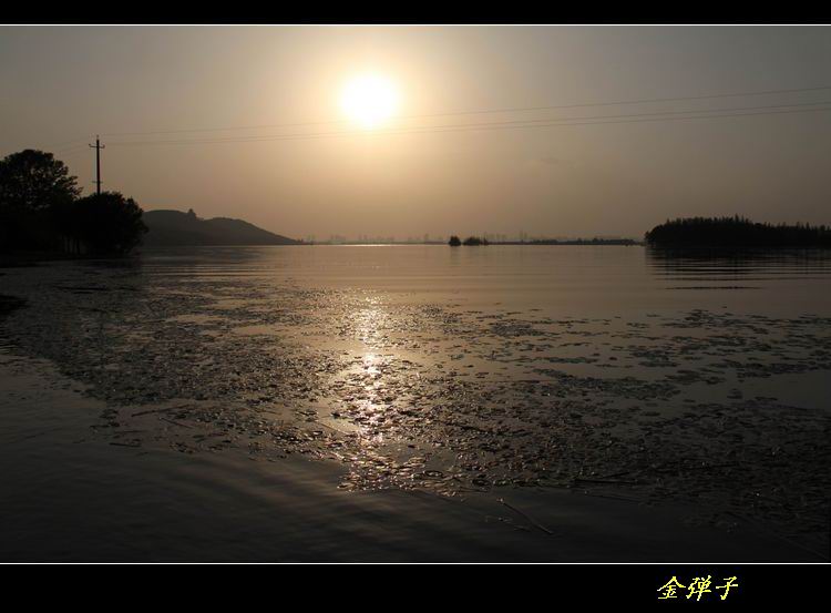 img_2923.jpg