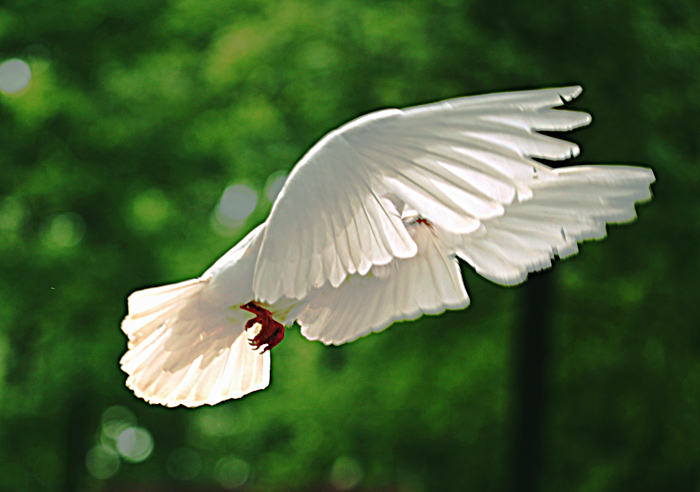 ��Ƭydh 819.jpg