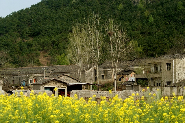 dsc02826.jpg