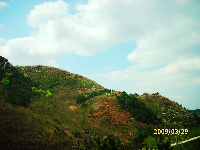111.jpg