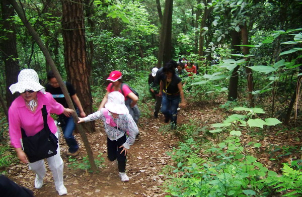 100_6178.jpg