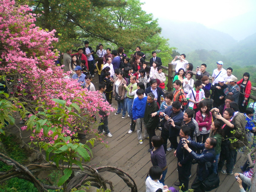 cimg0892-1.jpg