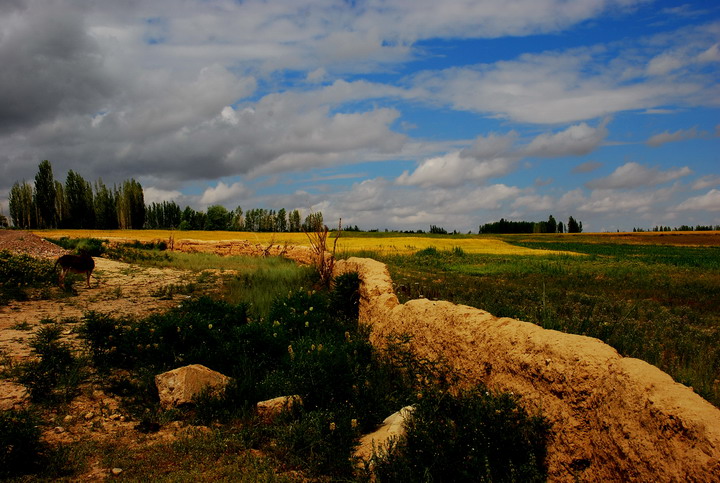dsc_5388.jpg