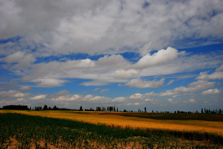 dsc_5394.jpg