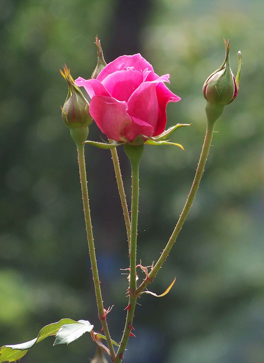 20100430õ (16).jpg