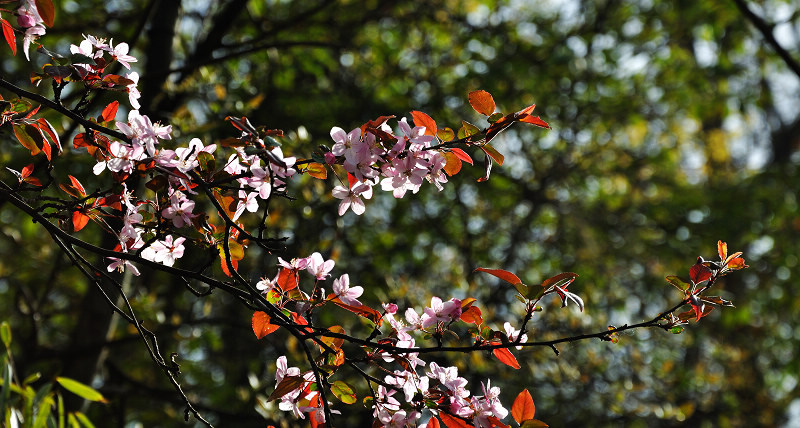 dsc_0038.jpg
