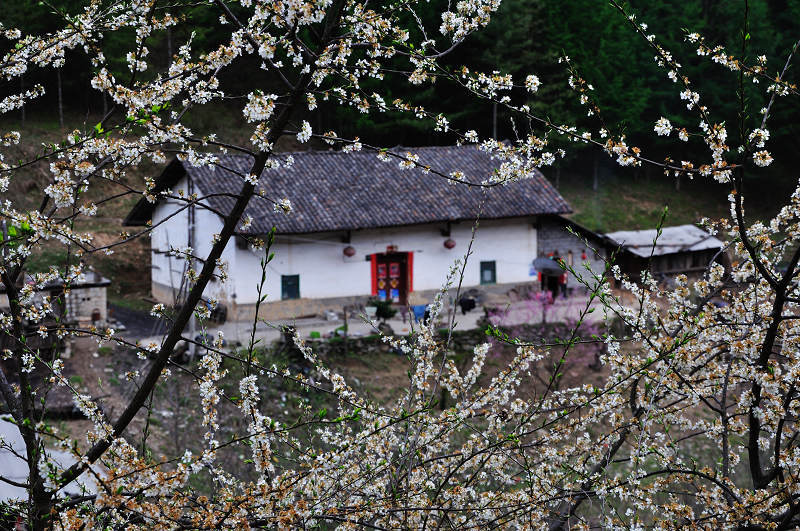 dsc_0112.jpg