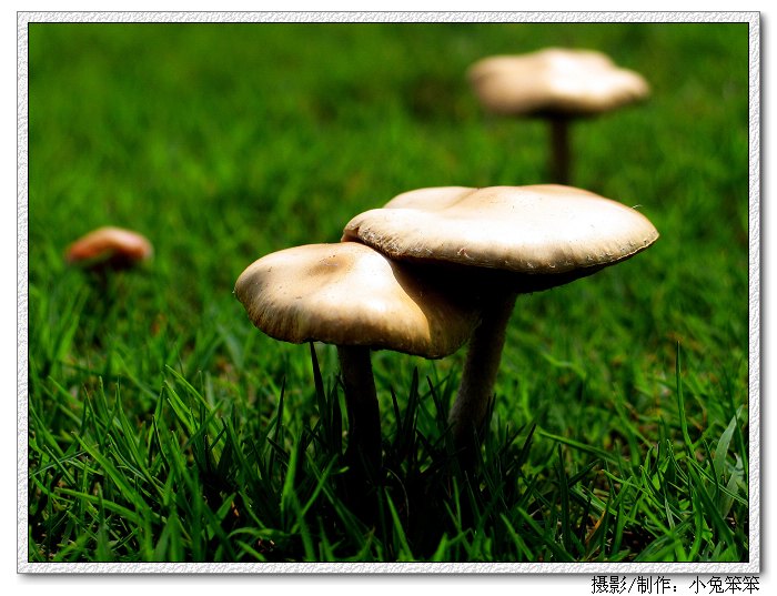 ��Ƭ 009_1.jpg