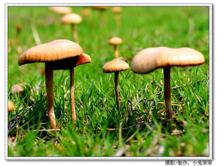 ��Ƭ 014_1.jpg