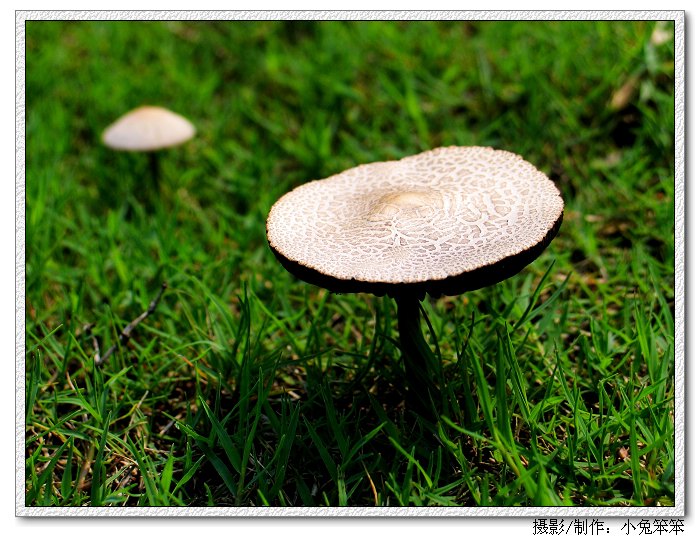 ��Ƭ 016_1.jpg