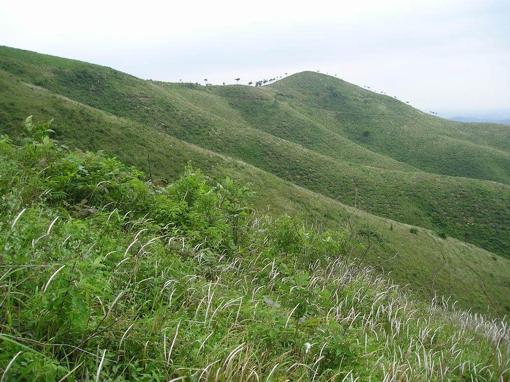 p1010077.jpg