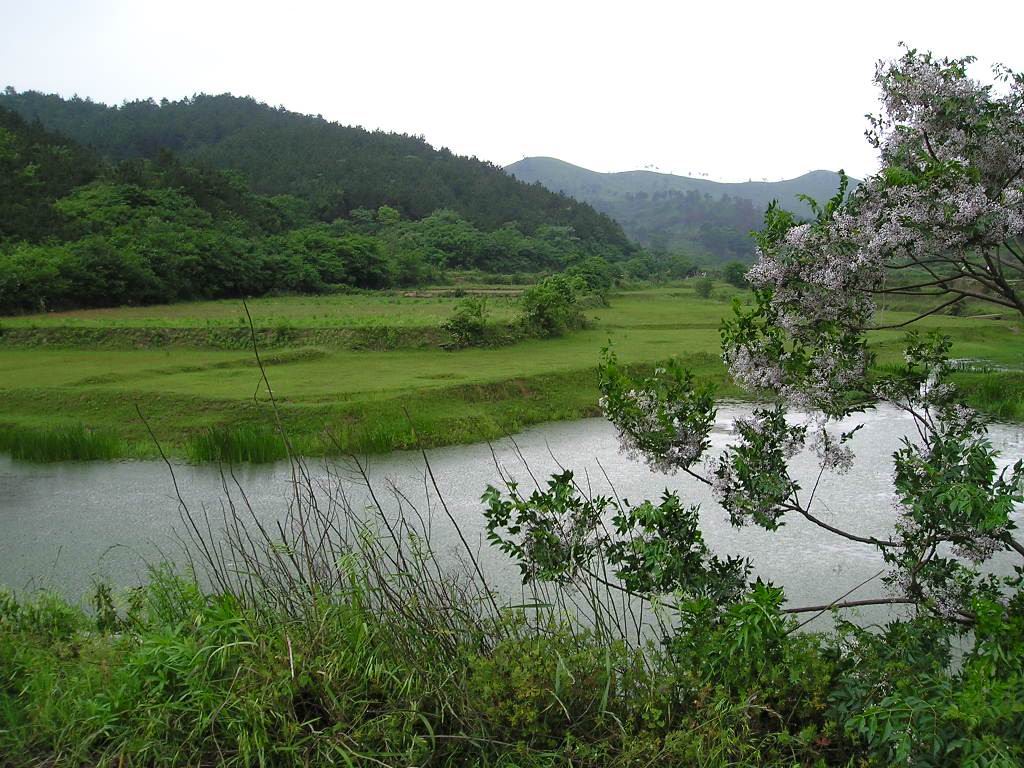 p1010267.jpg
