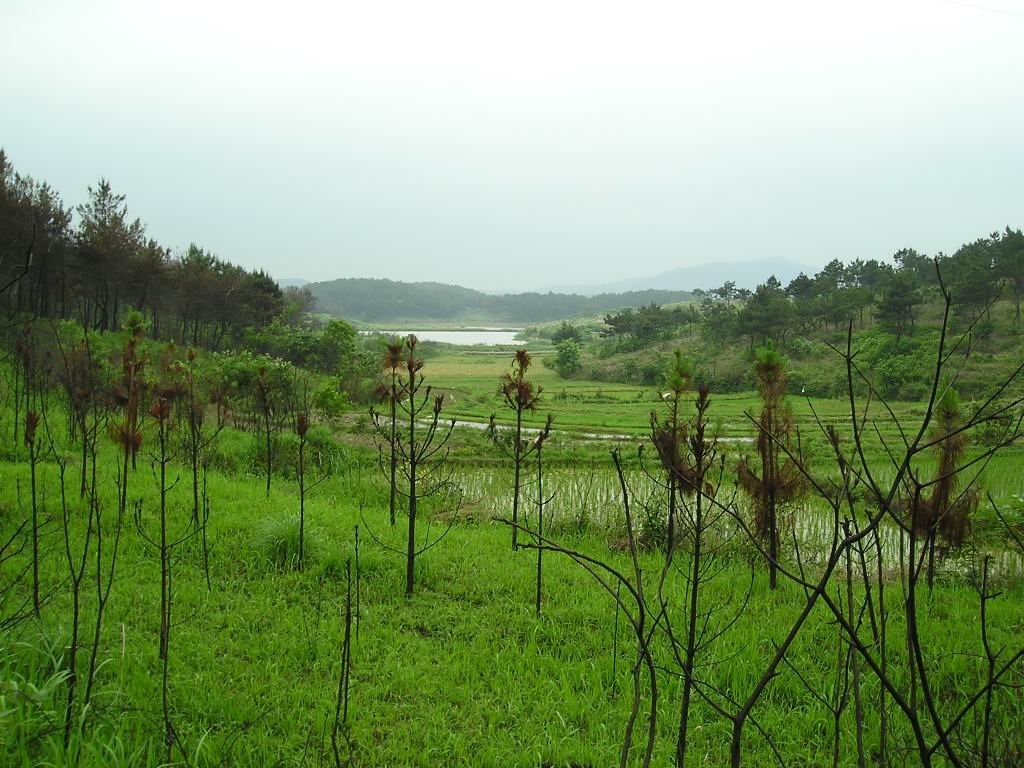 p1010277.jpg