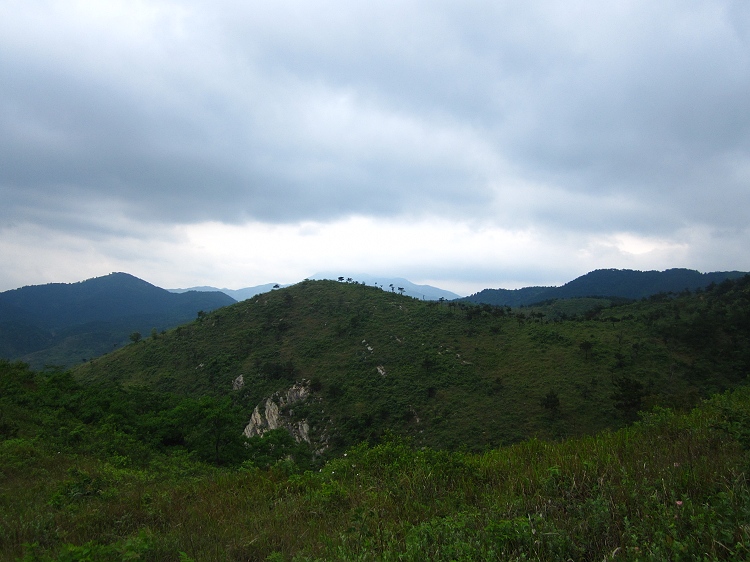 img_5953.jpg