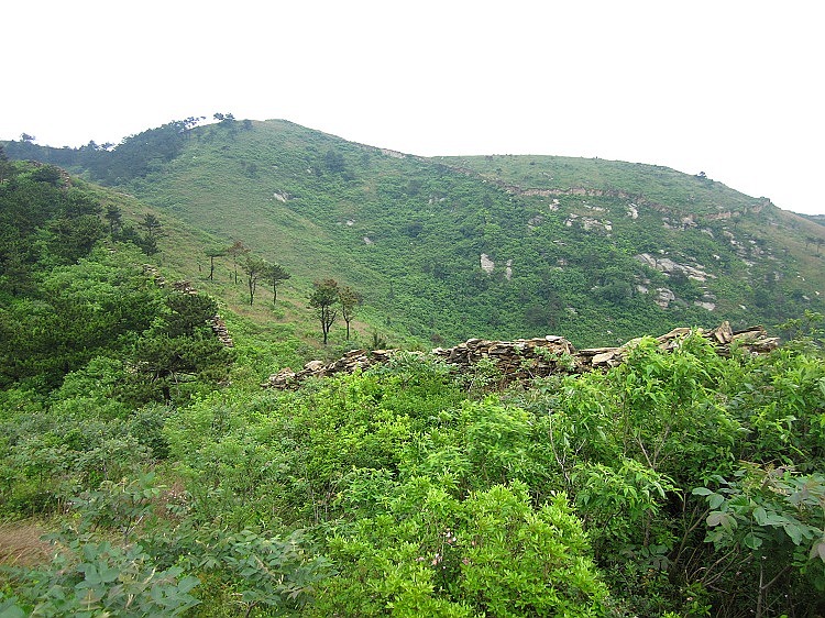 img_6046.jpg