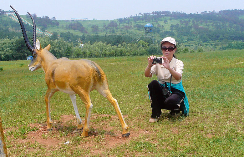 p1060954.jpg