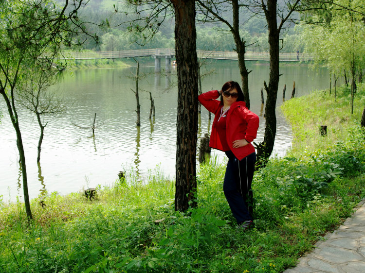 imgp2433.jpg
