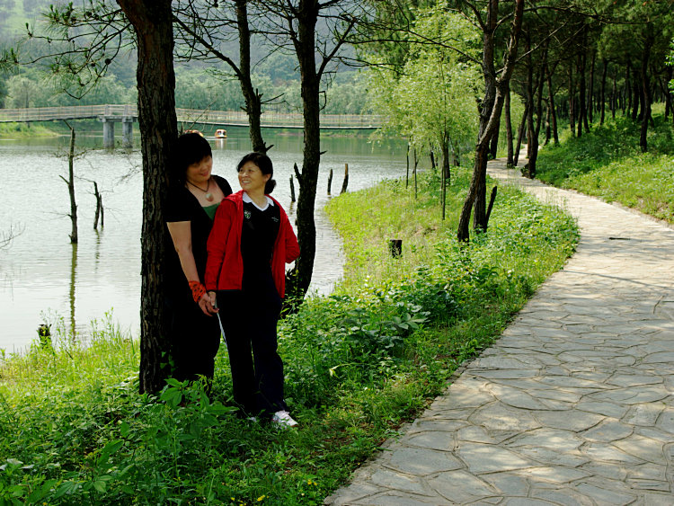 imgp2441.jpg