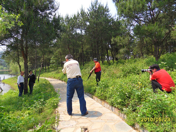 neo_img_sdc17614.jpg
