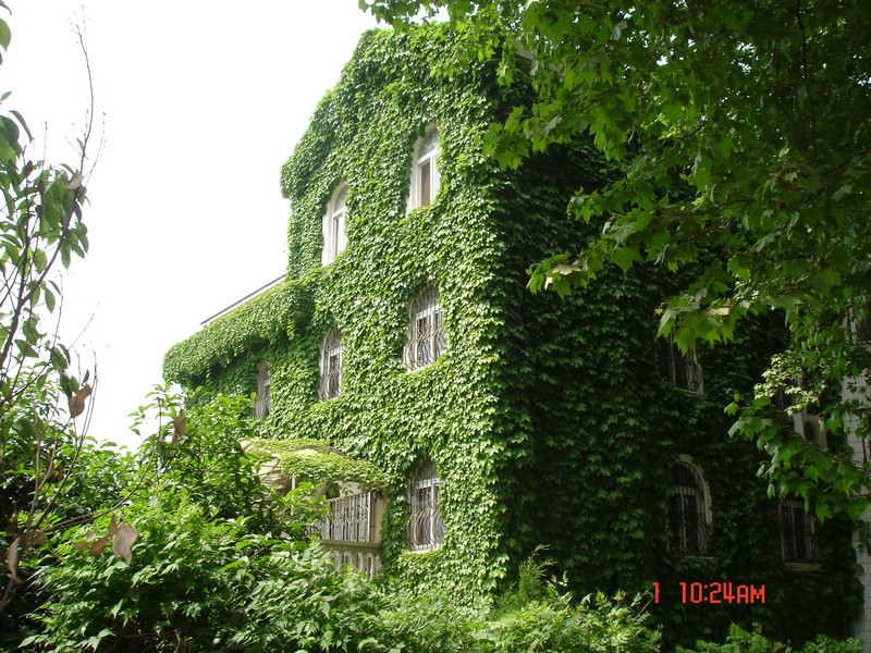 dsc01577.jpg