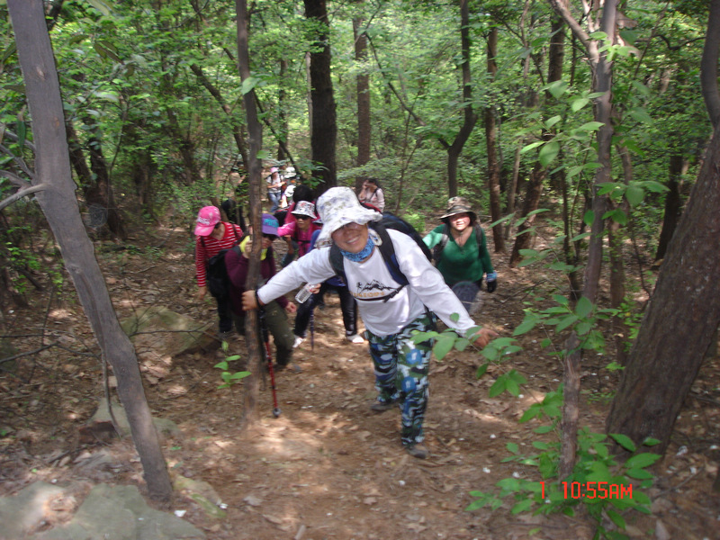 dsc01582.jpg