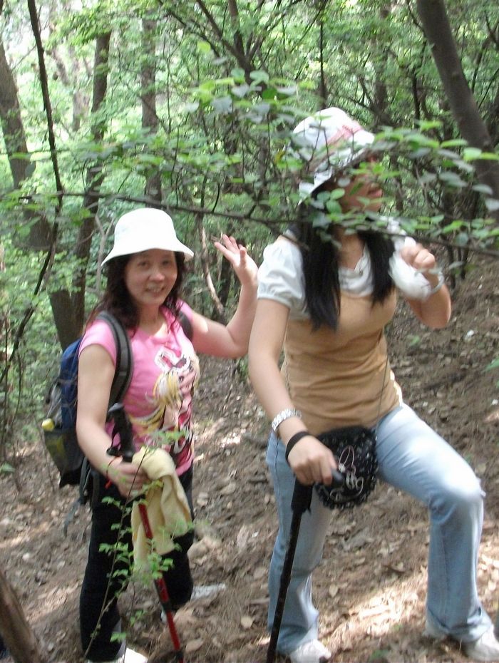 Ƭ 085.jpg
