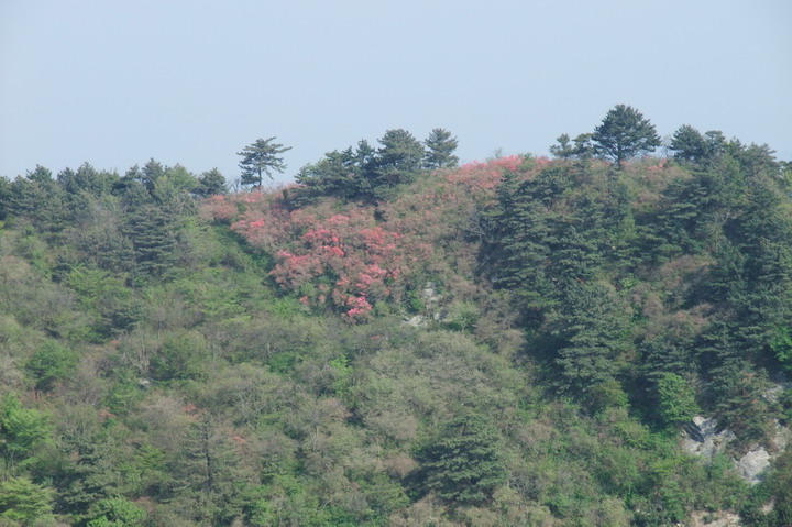 dscf4891.jpg