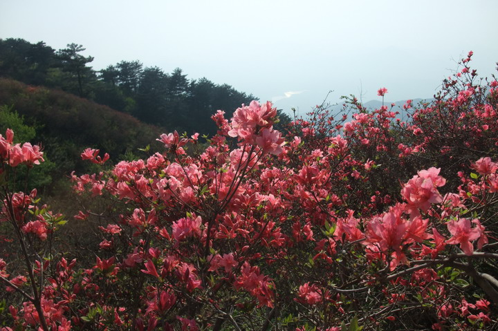 dscf4961.jpg